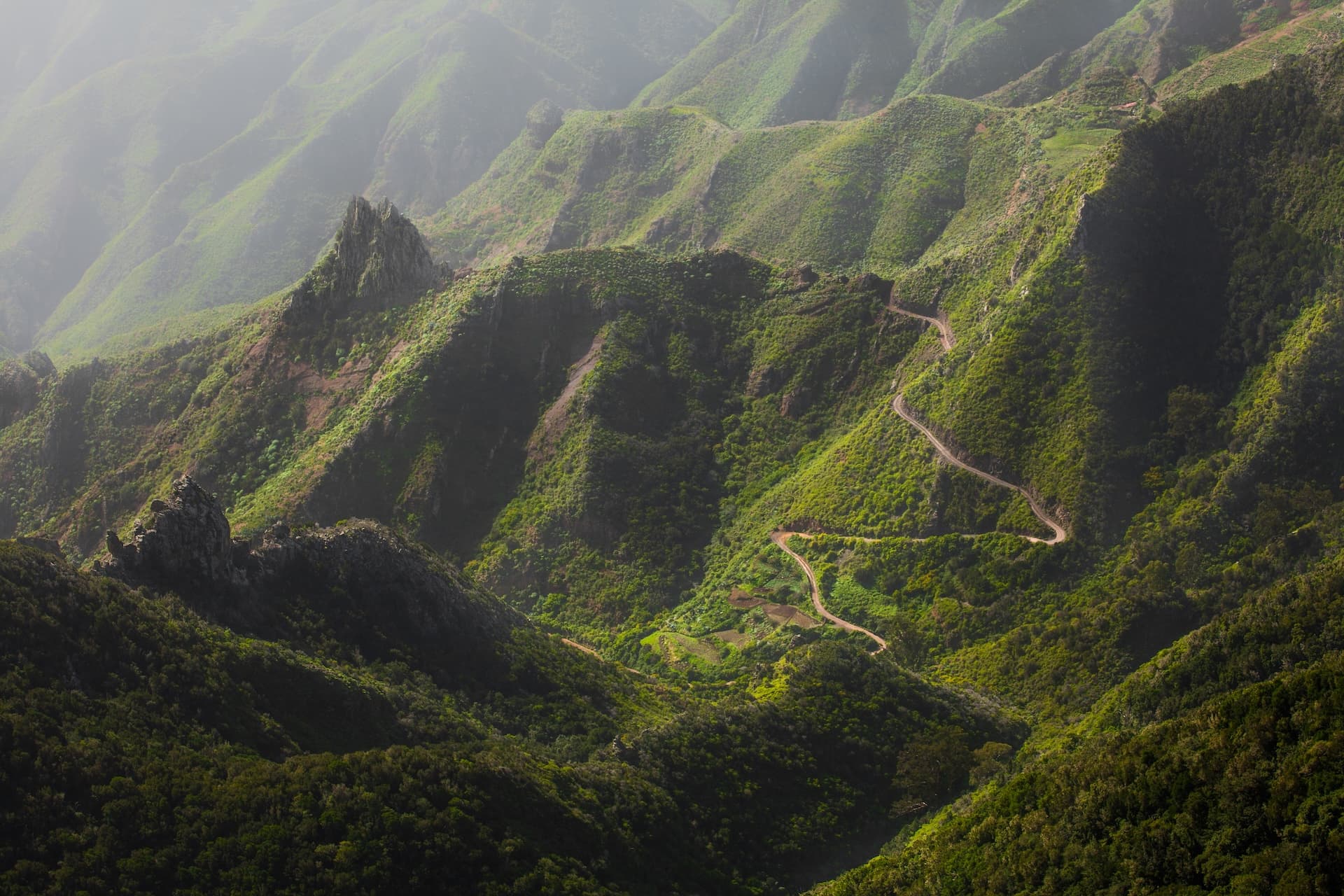 Winding road through lush green, misty mountains in Tenerife.