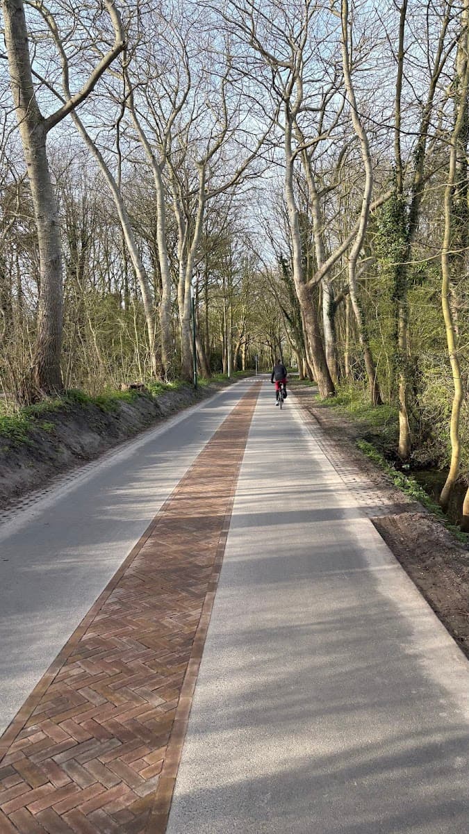 Person cycling on a paved path lined with bare trees in early spring.
