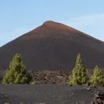 Dark volcanic desert landscape with green trees