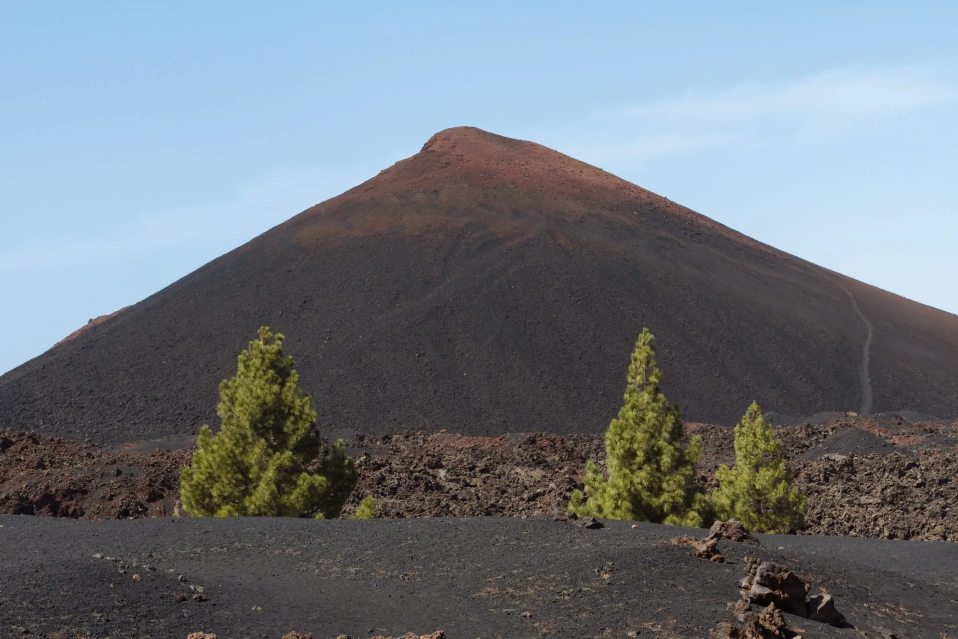 Dark volcanic desert landscape with green trees