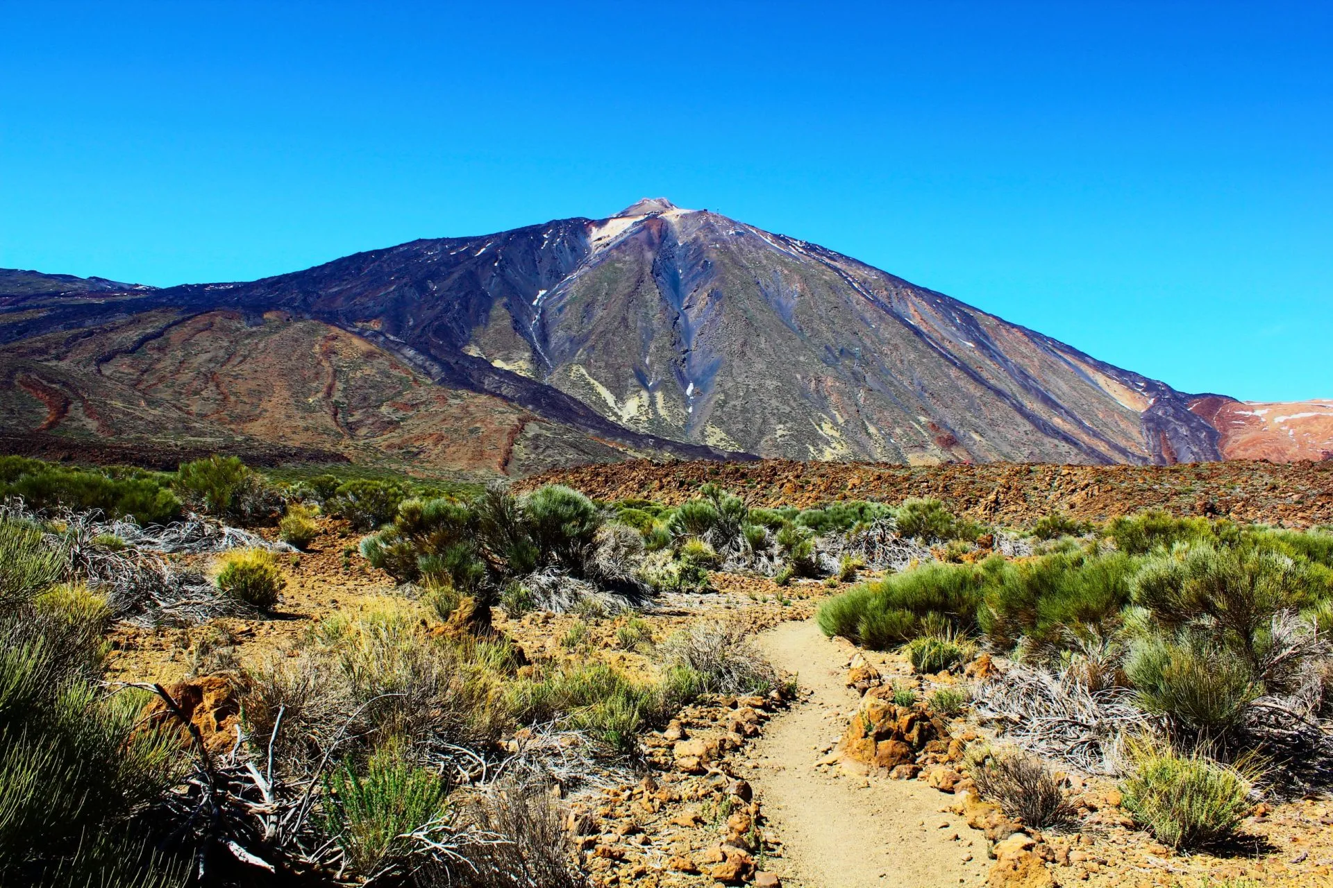 Wüste in der Nähe des Vulkans Teide (Teneriffa, Kanarische Inseln, Spanien)