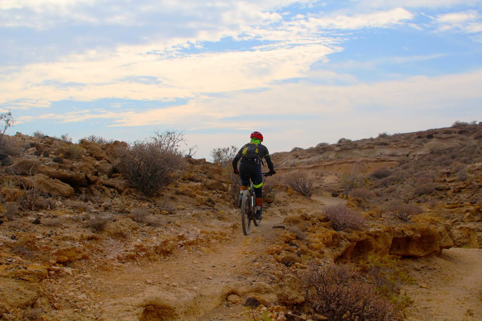 Mountainbike-cyklist som kör single track i en torr kanjon (Teneriffa, Spanien)